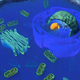 Image for article titled io9 Roundup 6/24/2011
